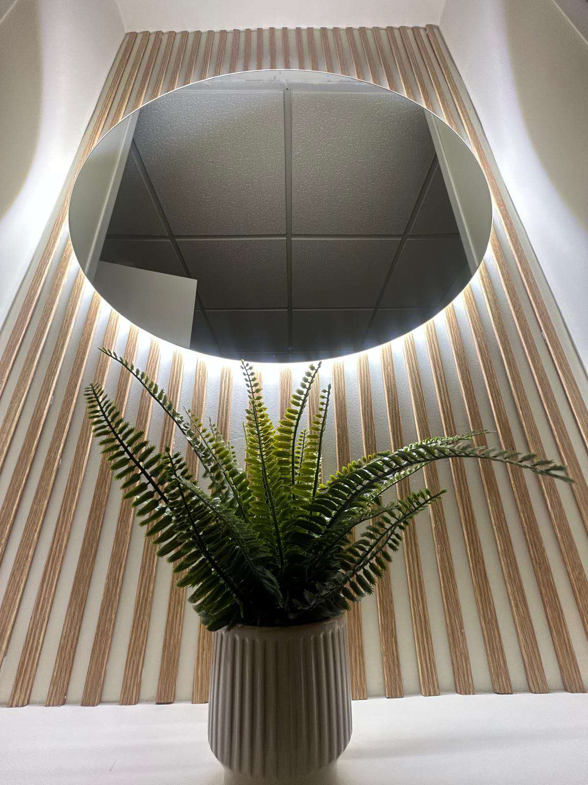 Sala con espejo redondo y planta